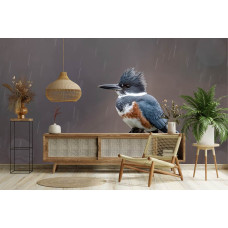 Fototapete mit einem farbenprächtigen eisvogel auf einem felsen im wohnzimmer.