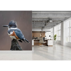 Fototapete mit einem eisvogel während eines regenschauers im modernen büro.