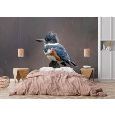 Fototapete eisvogel im regen im schlafzimmer mit natürlicher ausstrahlung.