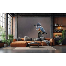 Fototapete eisvogel im regen im wohnzimmer mit ruhigen naturfarben.