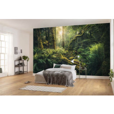 Eine Dschungel-Fototapete Vancouver Islands, perfekt für ein exotisches Schlafzimmer.