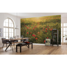 Eine Fototapete von einem sonnenbeschienenen Feld mit Mohnblumen in einer schönen Landschaft.