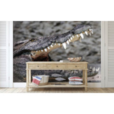 Fototapete mit einem Krokodil für das Schlafzimmer und das Wohnzimmer.