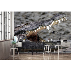 Fototapete mit einem Krokodil.