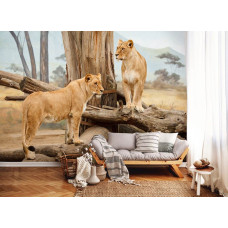 Eine Fototapete von Löwinnen in afrikanischer Natur auf dem Display im Wohnzimmer.