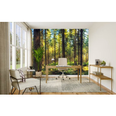 Fototapete mit einem sonnigen Waldmotiv in einem modernen Büro.