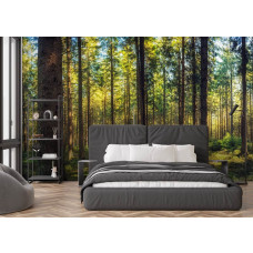 Fototapete mit hohen Kiefern und warmem Sonnenlicht in einem modernen Schlafzimmer.