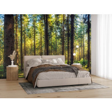 Fototapete mit einem lichtdurchfluteten Kiefernwald in einem gemütlichen Schlafzimmer.