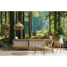 Fototapete mit natürlichem Waldmotiv und warmem Sonnenlicht in einem stilvollen Wohnzimmer.