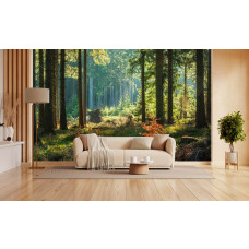 Fototapete mit einem sonnigen Wald in einem modernen Wohnzimmer.