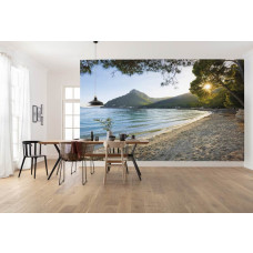 Eine Fototapete von einem tropischen Strand am Karibischen Meer, ideal für ein entspannendes Wohnzimmer.