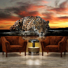 Eine Fototapete mit einem Leopard und Panther in Jagdposition sowie einem Gepard und Jaguar für das Wohnzimmer.