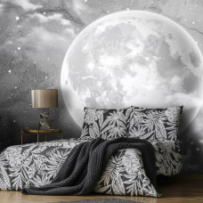 Eine Fototapete mit dem Mond auf einer Betonwand im Industriestil, gesehen im Schlafzimmer.