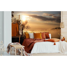 Eine Fototapete mit einer nebligen Waldlandschaft, geeignet für das Schlafzimmer.