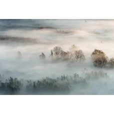 Fototapete Misty Morning mit neutralen Tönen und ruhiger Atmosphäre.