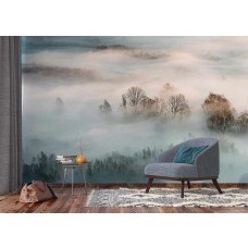 Fototapete Misty Morning mit neutralen Tönen und ruhiger Atmosphäre.