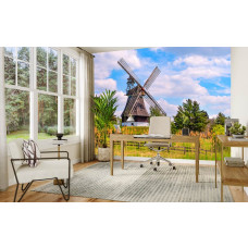 Fototapete Mühle im Frühling im Büro mit inspirierender und frischer Umgebung.