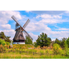 Fototapete Mühle im Frühling mit traditioneller Landschaft und grüner Natur.