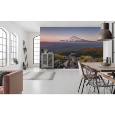 Eine Fototapete von Mount Hood Berg und Vulkan in Oregon, ideal für das Wohnzimmer.