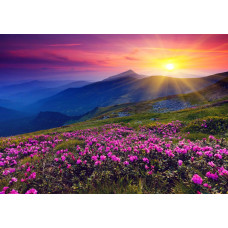 Fototapete mit einer untergehenden Sonne in den Bergen, wo Blumen die Landschaft mit leuchtenden Farben füllen.