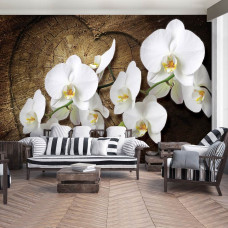 Eine Fototapete mit weißen Orchideenblüten in einer ruhigen Umgebung, geeignet für ein Schlafzimmer und Wohnzimmer.