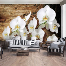 Eine Fototapete mit Orchideen und einem Baum im Hintergrund, perfekt für ein Wohnzimmer.
