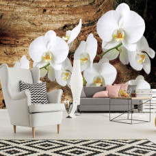 Eine Fototapete mit einem Baum mit Orchideenblüten vor einem natürlichen Hintergrund, ideal für ein Schlafzimmer oder ein Wohnzimmer.