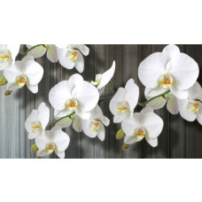 Eine Fototapete mit Orchideen auf einem Holzhintergrund, ideal für ein rustikales, natürliches Ambiente.