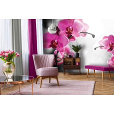 Eine Fototapete mit rosafarbenen Orchideen, lebendig wiedergegeben in einem Wohnzimmer.