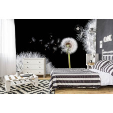 Eine Fototapete mit einer Sammlung von Pusteblumen in einer weichen, natürlichen Komposition für das Schlafzimmer.