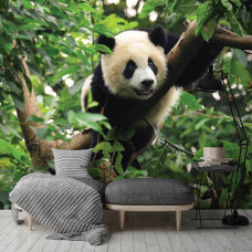 Eine Fototapete mit einem riesigen Panda zwischen den Ästen im Wohnzimmer.