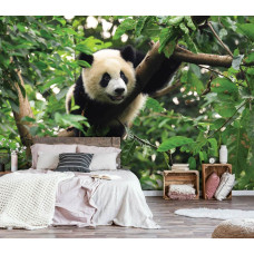 Eine Fototapete mit einem riesigen Panda, der auf einen Baum klettert, für das Schlafzimmer.