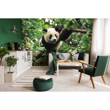 Eine Fototapete mit einem Pandabären in einem Baum im Wohnzimmer.