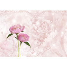 Rosa Pfingstrose und Rosen auf Fototapete in abstraktem Design.