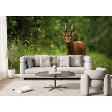 Fototapete mit einem Reh in einer natürlichen Waldlandschaft in einem stilvollen Wohnzimmer.
