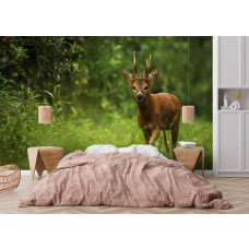 Fototapete mit einem Reh im grünen Wald in einem gemütlichen Schlafzimmer.