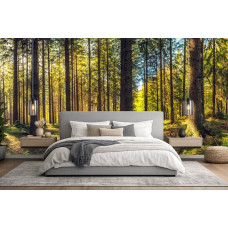 Fototapete mit einem Kiefernwald und warmen Sonnenstrahlen in einem modernen Schlafzimmer.