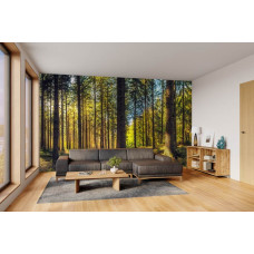 Fototapete mit einem ruhigen Kiefernwald in einem modernen Wohnzimmer mit natürlicher Atmosphäre.