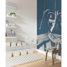 Eine Star Wars Fototapete, die Darth Vader in einer ikonischen Action-Pose zeigt.