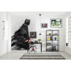Eine Star Wars Fototapete, die die Schattenfiguren von Kylo Ren und Darth Vader zeigt.