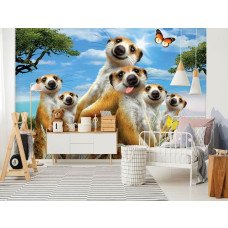 Eine Fototapete mit fröhlichen Erdmännchen in einem verspielten Selfie-Stil, perfekt für ein Kinderzimmer.