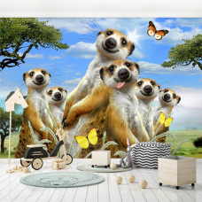 Eine Fototapete mit Erdmännchen in einer lustigen Komposition, geeignet für das Spielzimmer.