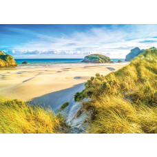 Strand und Dünen, Natur-Fototapete mit einem beruhigenden und beruhigenden Look für jeden Raum.