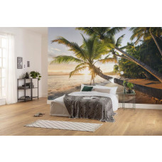 Eine Fototapete von Buccaneer Beach in Puerto Rico, perfekt für ein tropisches Schlafzimmer.