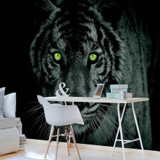 Eine Schwarz-Weiß-Fototapete mit einem Tiger mit grünen Augen für das Büro.