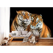Eine Fototapete mit einem Tiger in einer ruhigen Umgebung, geeignet für verschiedene Räume.