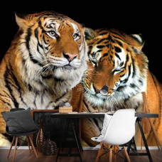 Eine Fototapete mit einem beeindruckenden Tiger, perfekt für ein Büro.