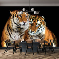 Eine Fototapete mit einer Nahaufnahme eines Tigers in einer natürlichen Umgebung.