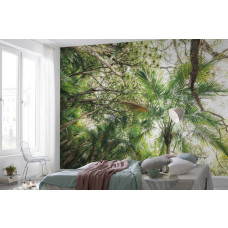 Eine Fototapete von Dschungel Blätter und Bäume im Wald im Schlafzimmer.