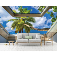 Eine Fototapete mit Blick auf Palmen durch ein Oberlicht mit 3D-Effekten, perfekt für das Wohnzimmer.